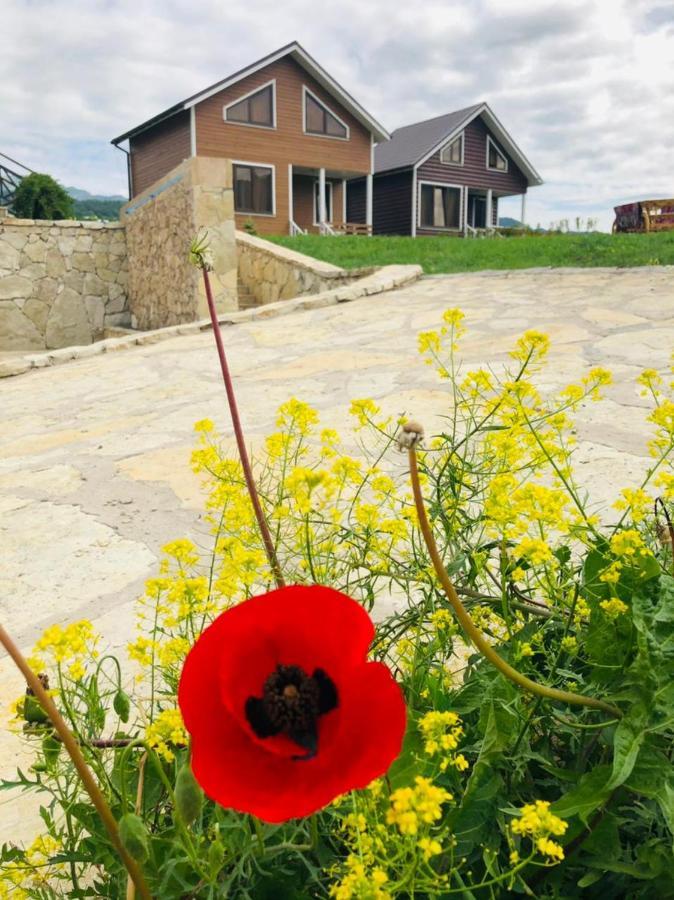 Cottage Chalet And Tours Dilijan Luaran gambar
